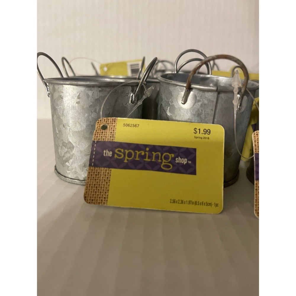 Mini Bucket Decoration for Crafts Floral The Spring Shop 2.5x2.4x2